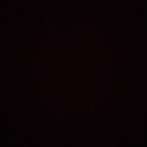 Meet your Posher, Betsy